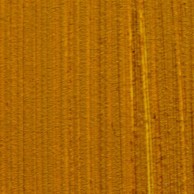 Michael Harding French Yellow Ochre artist's oil paint