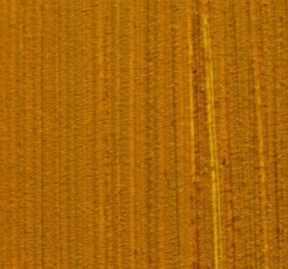 French-Yellow-Ochre-Swatch