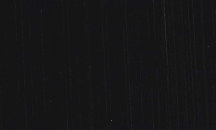 Vine Black swatch