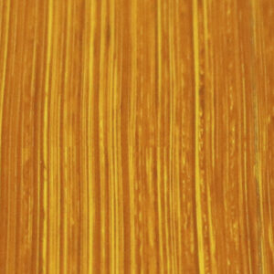 NEW | New Gamboge (No. 244)